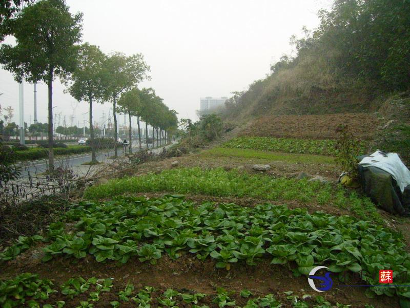 审批丨浙江药监:7月共批准注册第二类医疗器械产物84个!-xc sports(图7) xc sports