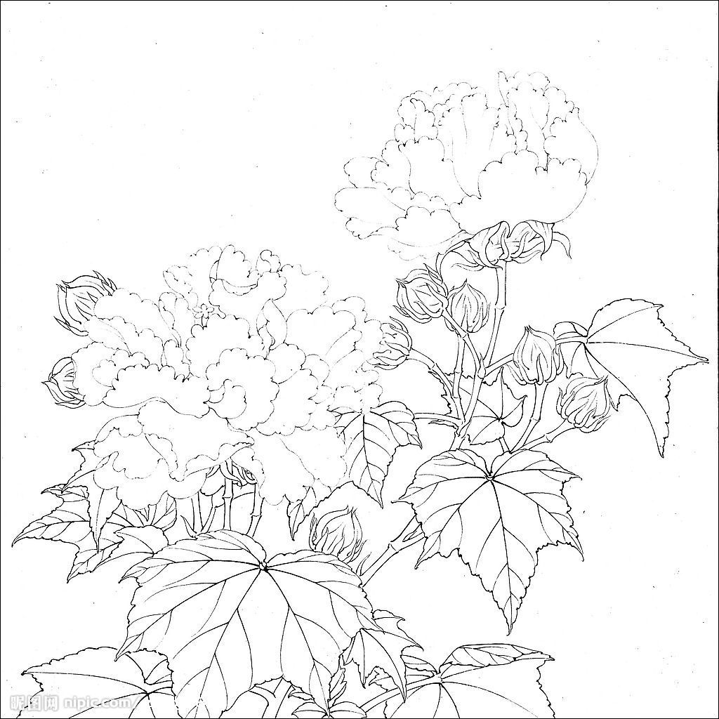 吃红薯的好处多种疾病能预防【xc sports】(图3) xc sports