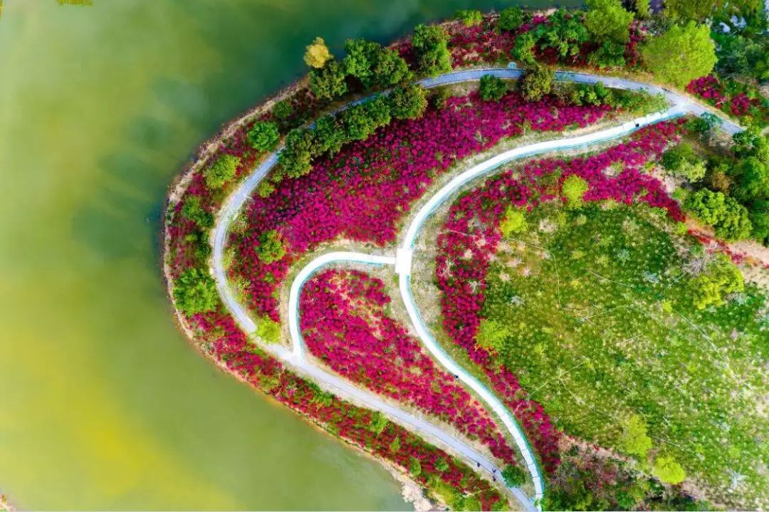 【xc体育】商务部:中国将采取一切措施维护光伏企业合法权益(图4) xc sports