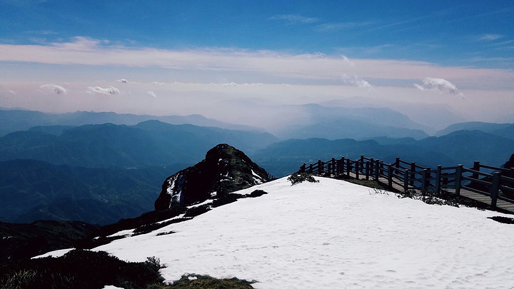 xc sports|贾跃亭致信债权人:还债恢复信誉,把FF做成是人生最大目标(图2) xc体育