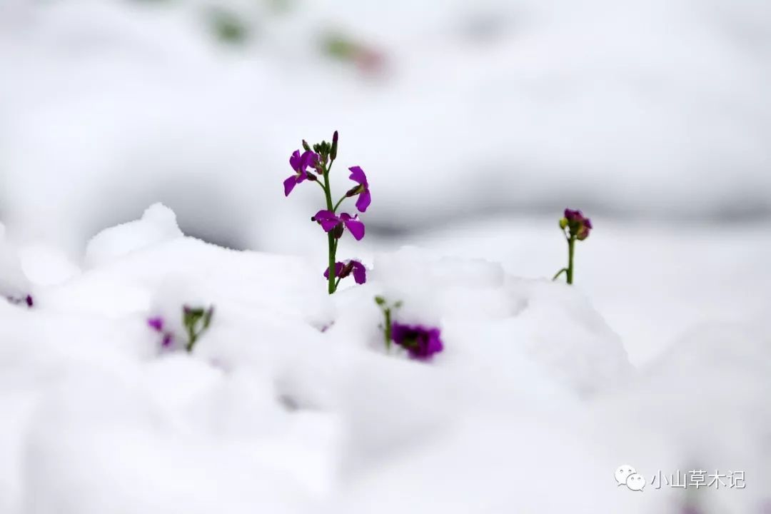 关于举办2018年U16男女篮冬季训练营的函‘xc体育’(图1) xc sports