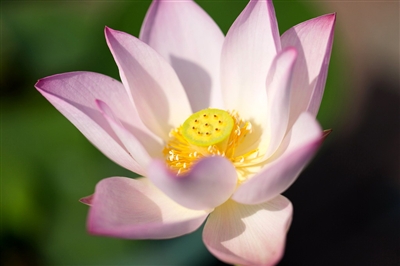 ‘xc体育’郭艾伦:说我们输球有其他缘由 太不理解辽宁队(图1) xc体育