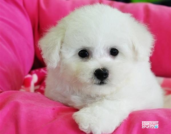 郑州痛风医院讲解痛风的常见症状主要有几点“xc体育”(图1) xc sports