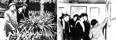 禁令之后中兴或将损失30亿美元‘xc体育’(图1) xc sports