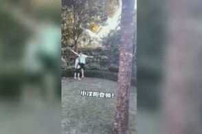 “xc sports”破产了咋办?盘点令人“窒息”的乐视讨债风波(图3) xc sports