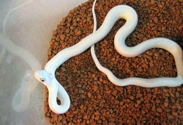 医疗设备临床应用培训的内涵要求【xc sports】(图2) xc sports