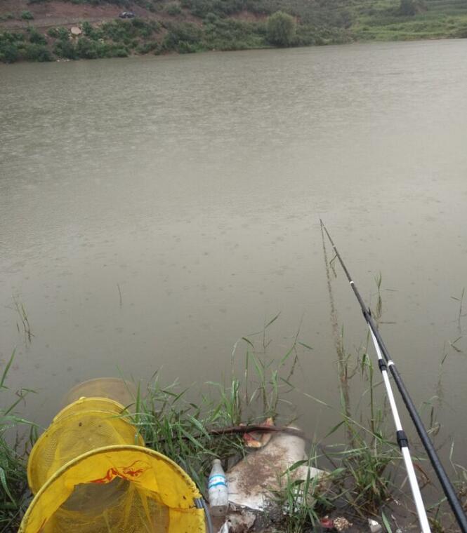 晋城网站SEO关键词优化外包公司-张致恒为脚踏N船道歉:我对不起你们!真心悔改_xc sports(图2) xc sports