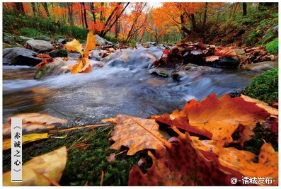xc体育-姚明动手了!开始对CBA球员的聘用和转会的补充和修改(图3) xc体育