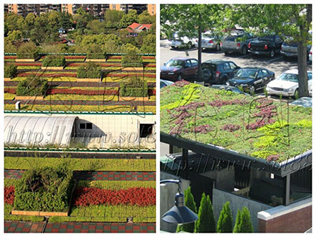 xc sports:三外援72分5人得分上双 天津主场31分大胜同曦(图2) xc sports